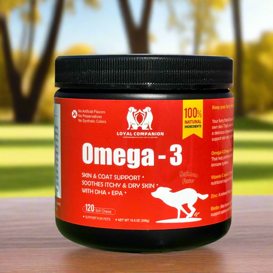 Loya Companion Omega-3