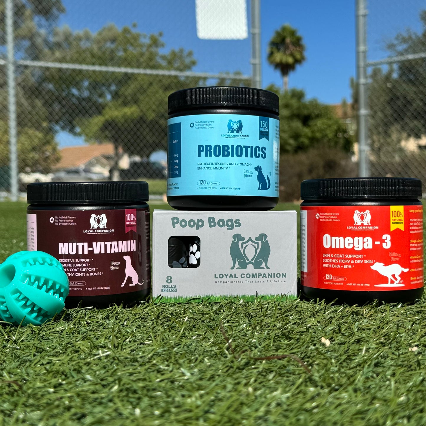 Ultimate Dog Wellness Box