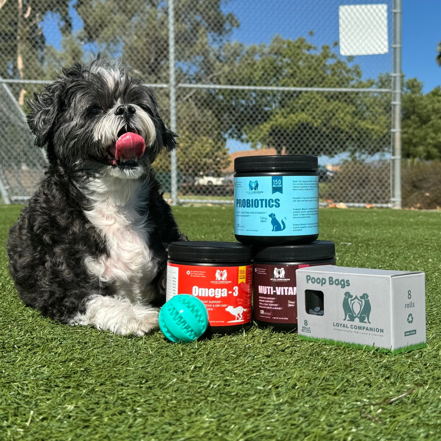 Ultimate Dog Wellness Box